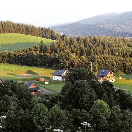 Bieszczady Zubrowe Wzgorze 785-049-543 Villa Steznica  Exterior photo