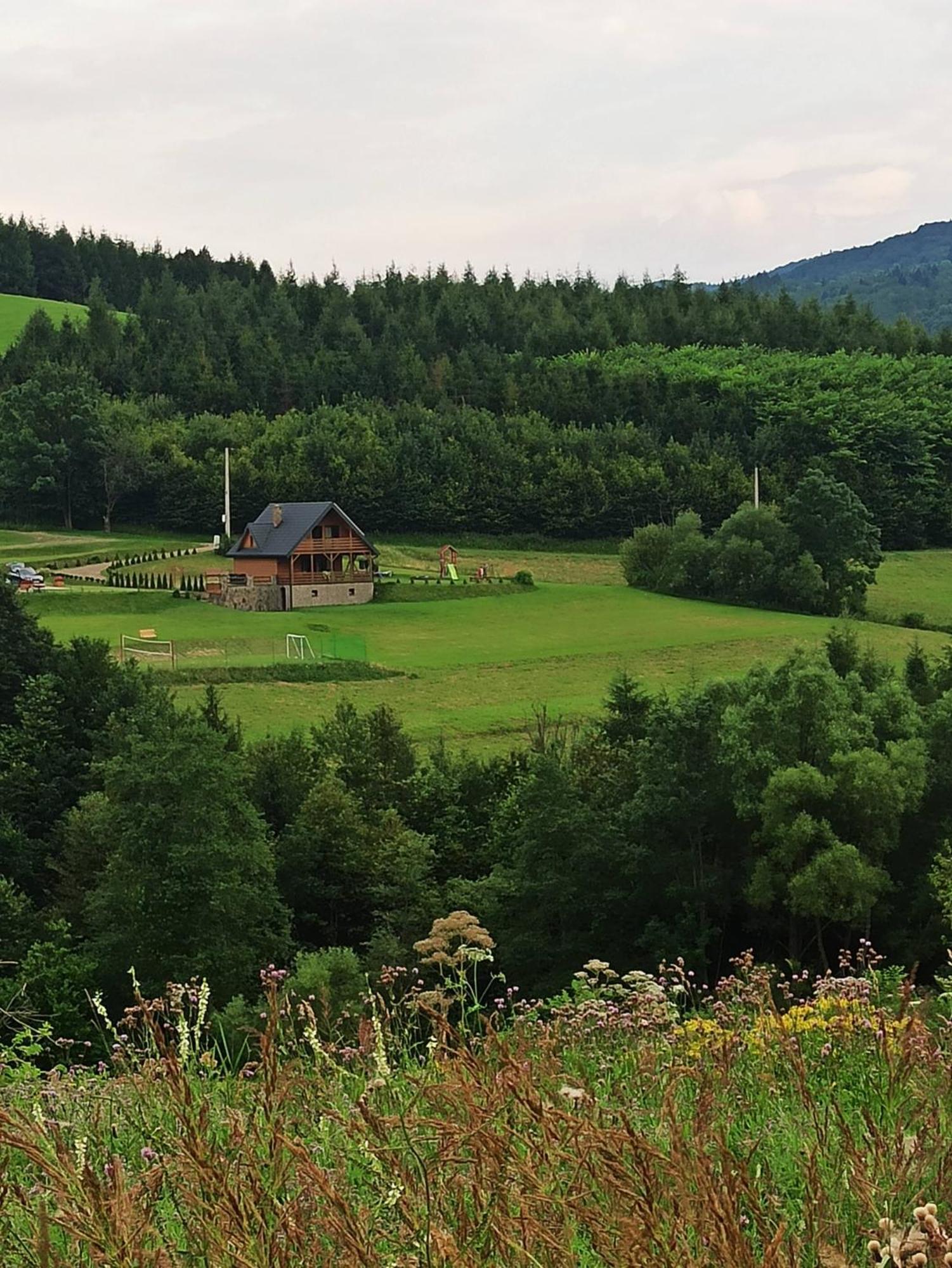 Bieszczady Zubrowe Wzgorze 785-049-543 * Steznica (Baligrod)