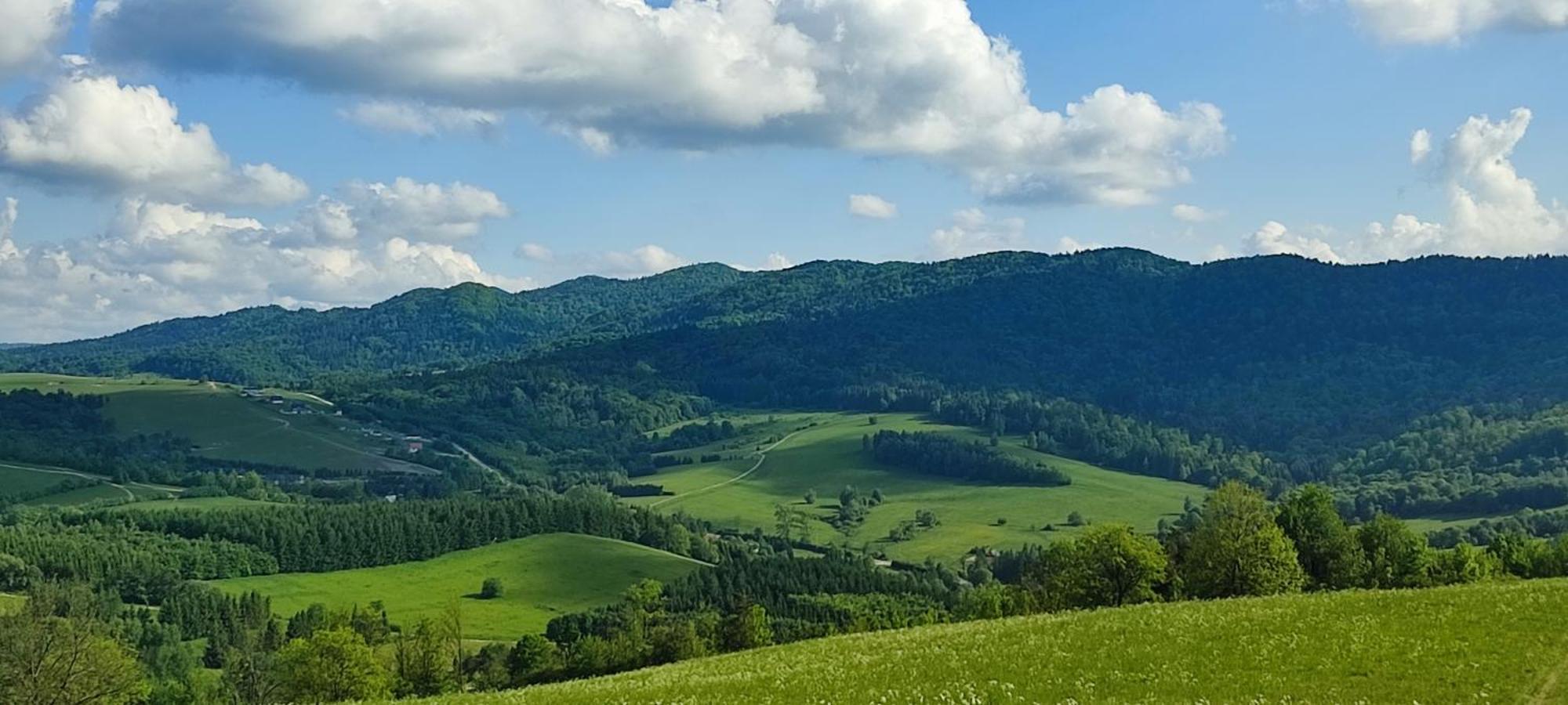 Bieszczady Zubrowe Wzgorze 785-049-543 * Steznica (Baligrod)