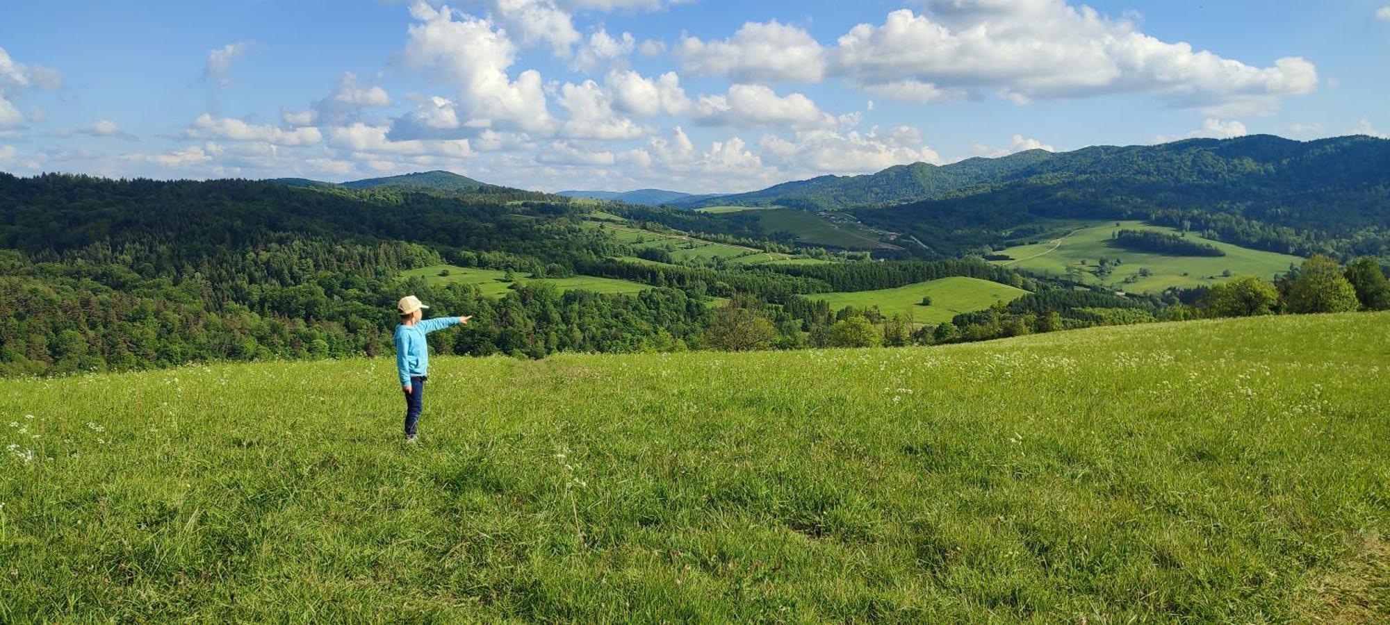 Holiday home Bieszczady Zubrowe Wzgorze 785-049-543 Steznica (Baligrod)
