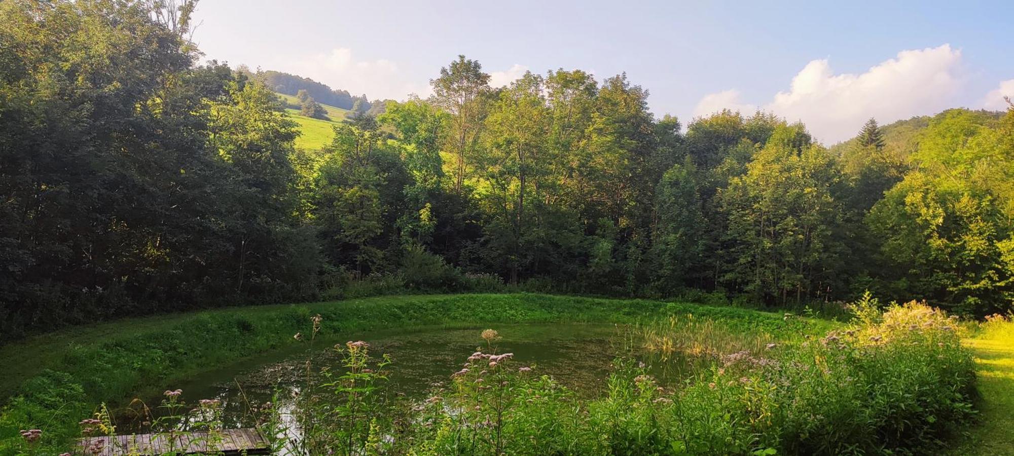 Holiday home Bieszczady Zubrowe Wzgorze 785-049-543