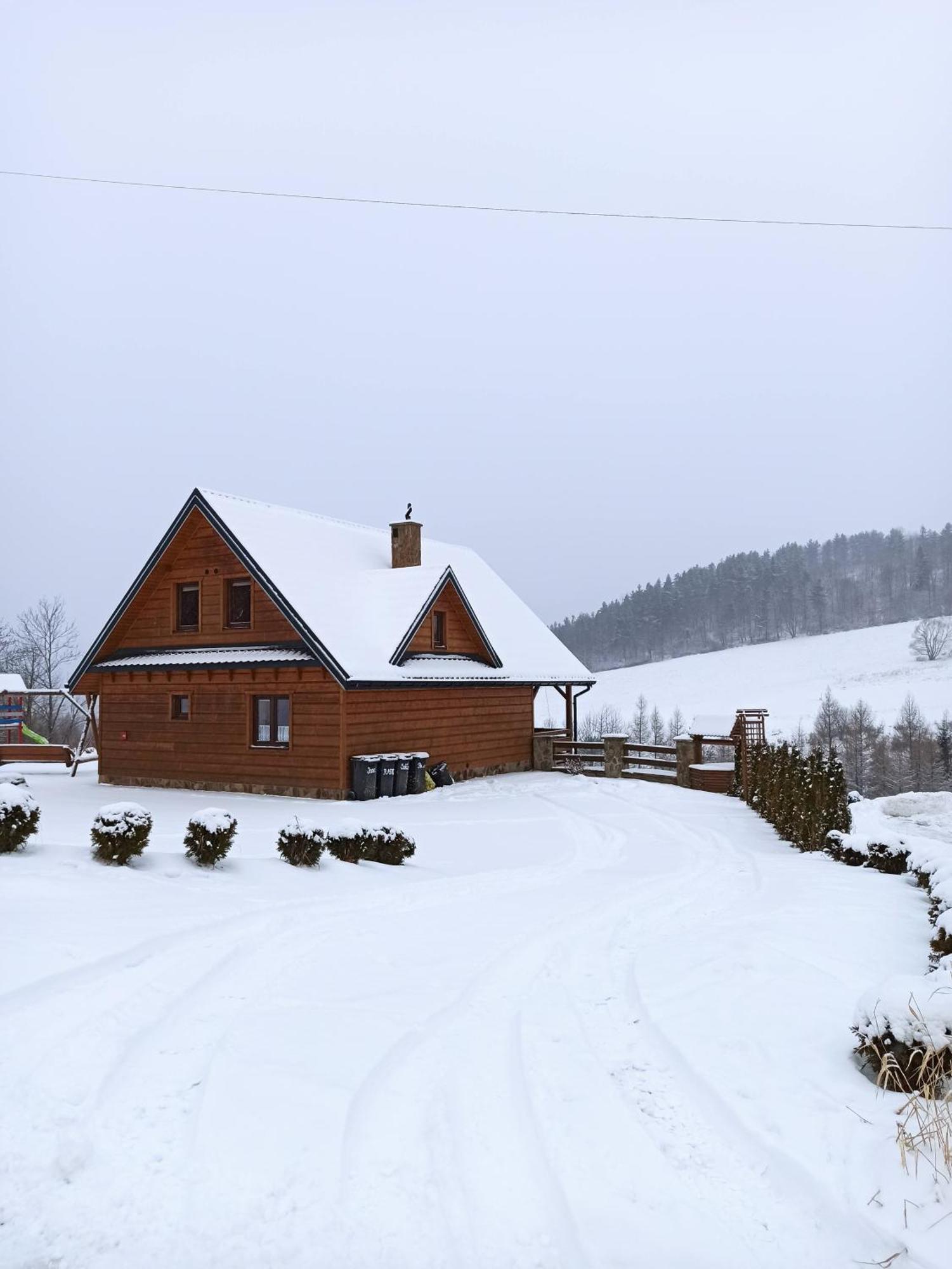 Bieszczady Zubrowe Wzgorze 785-049-543 *