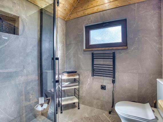 Bieszczady Zubrowe Wzgorze 785-049-543 Holiday home Steznica (Baligrod)